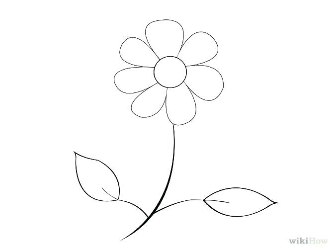 670x503 Flower Steps Flower Pictures Easy To Draw