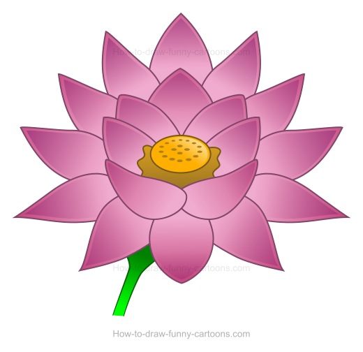 520x504 How To Create A Lotus Flower Drawing