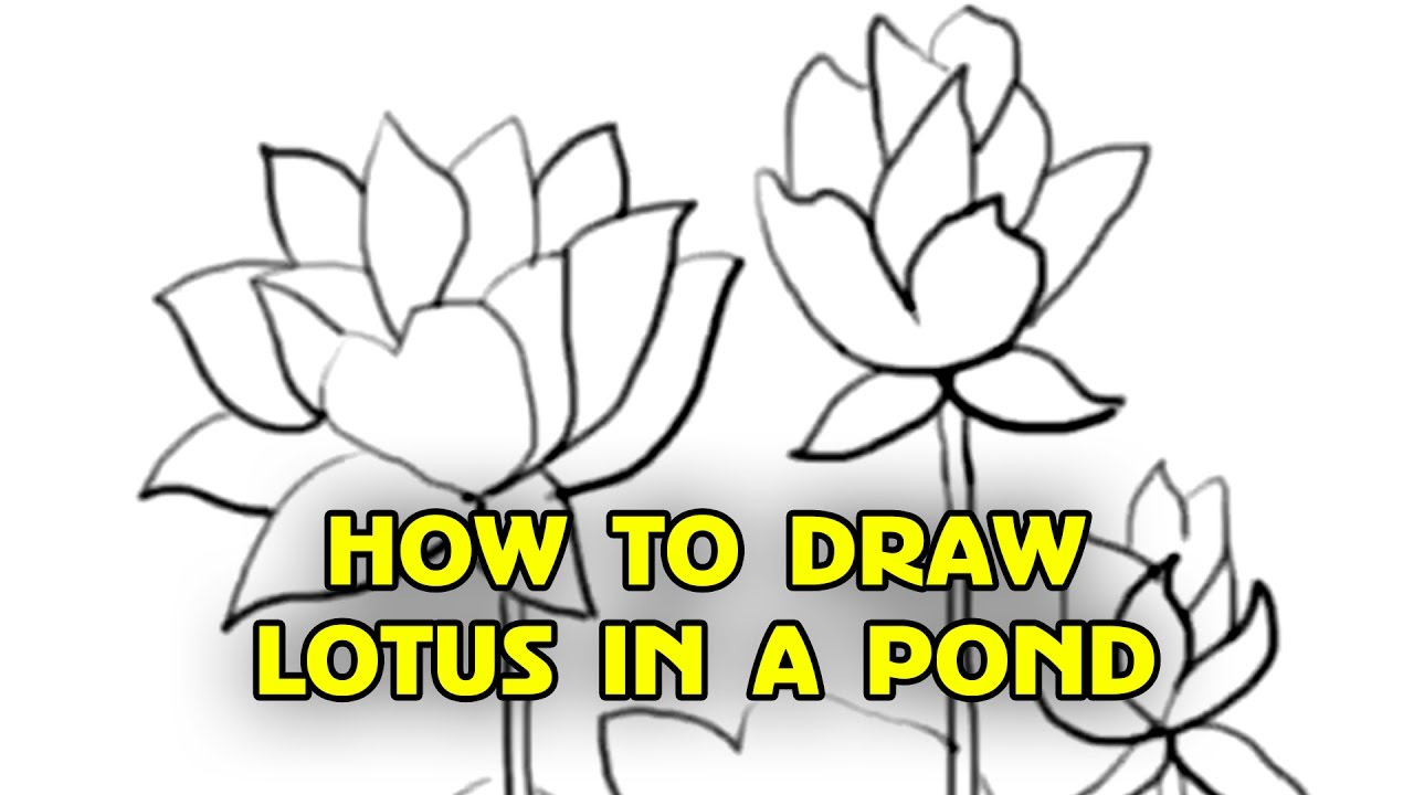 1280x720 Lotus Flower Drawing Step