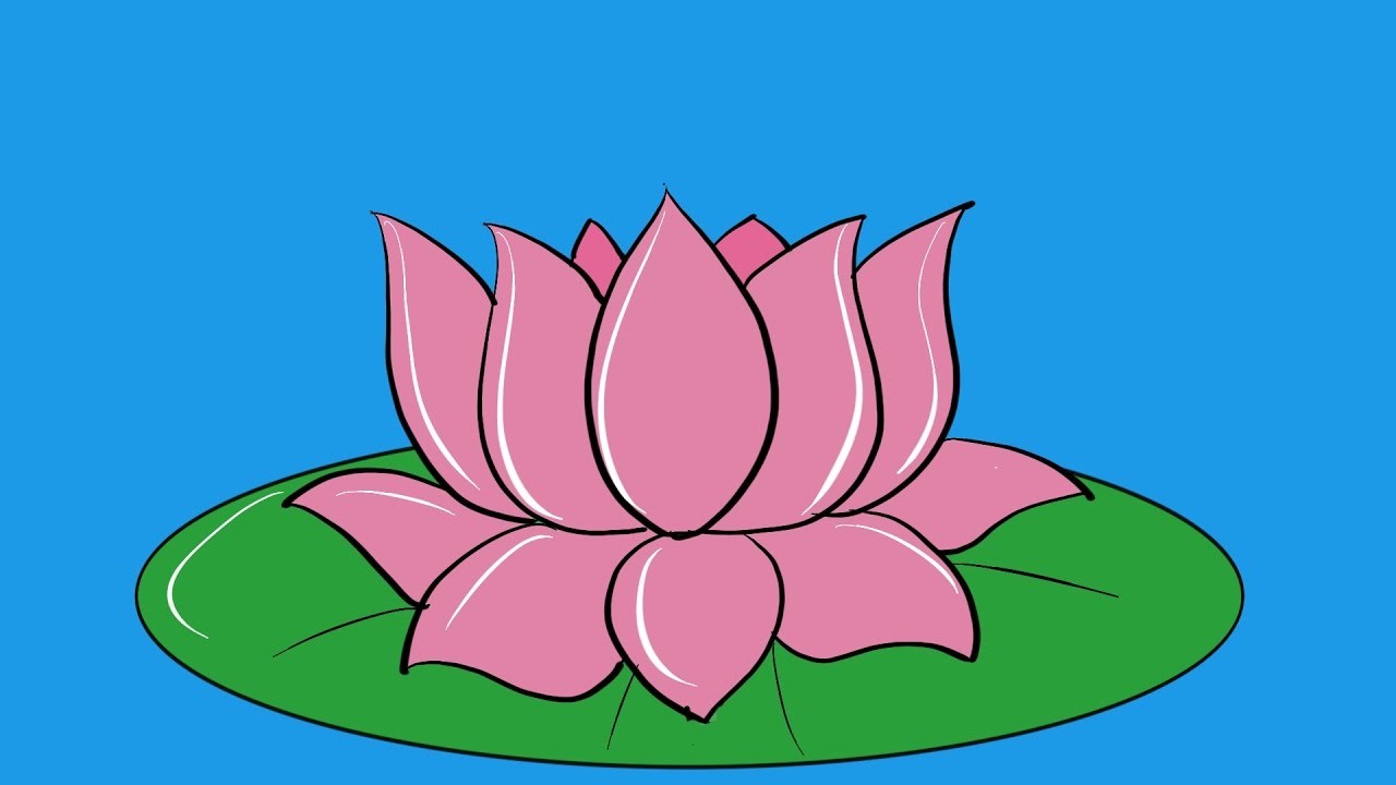 Lotus Flower Drawing Step By Step | Free download on ClipArtMag