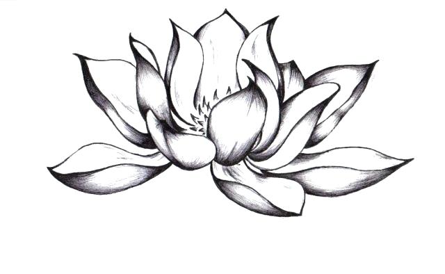 640x394 easy to draw lotus flower how to draw a lotus best lotus flower