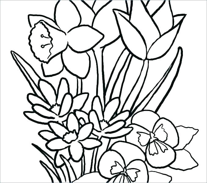 678x600 Cool Flower Drawing Flower Coloring Pages Plus Cool Flower