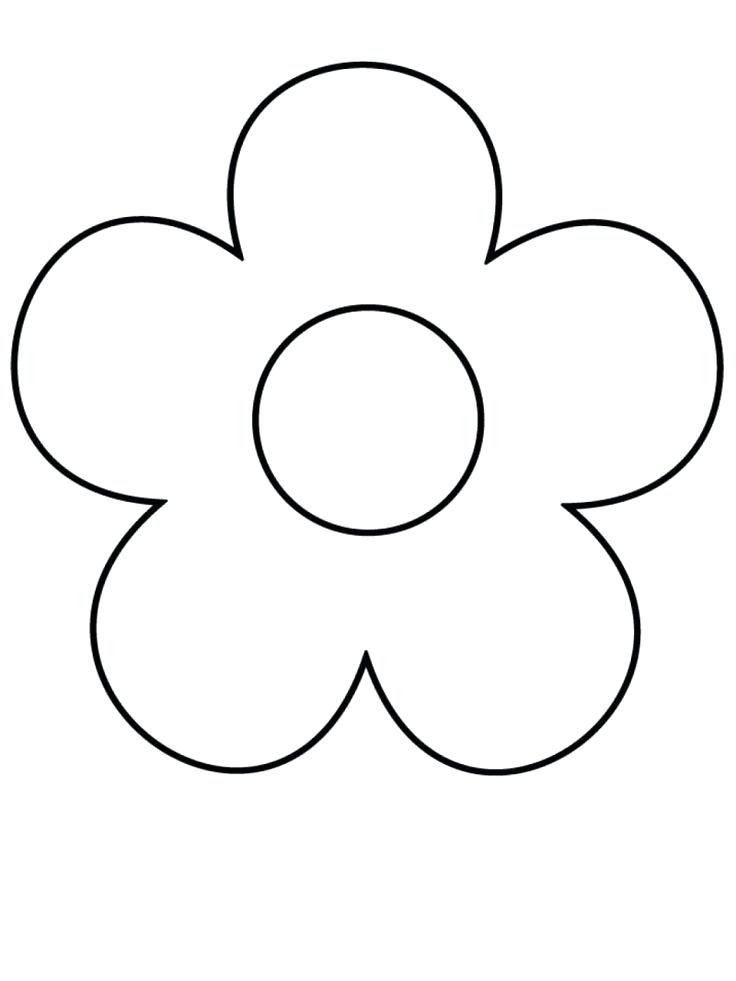 736x981 Flowers Drawings Design To Draw Flowers Drawings In Pencil Step