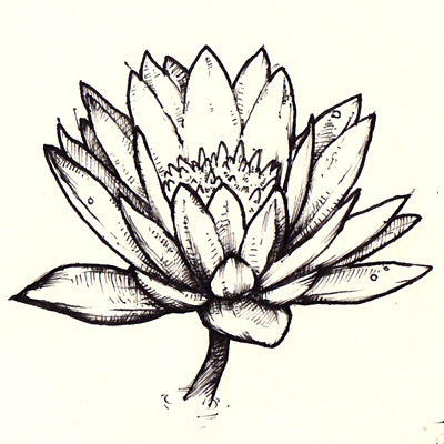 400x400 Chicken Scratches Pen Drawing Of A Lotus Flower For Lotus You