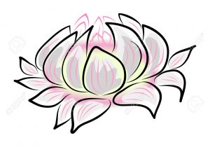300x210 Lotus Flower In Water Drawing Pencil Sketches Lotus Flower