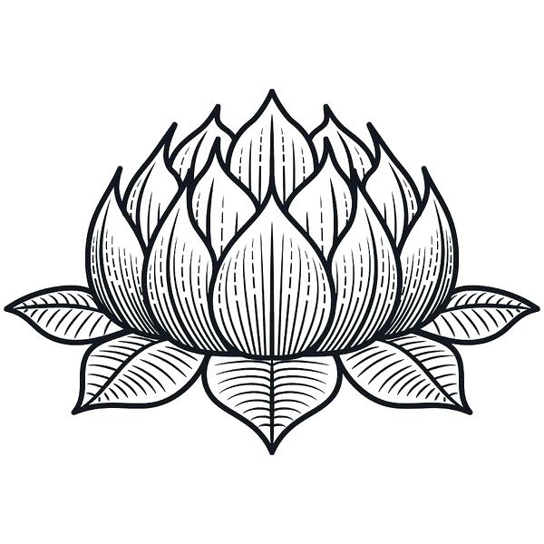 Lotus Flower In Water Drawing Free download on ClipArtMag