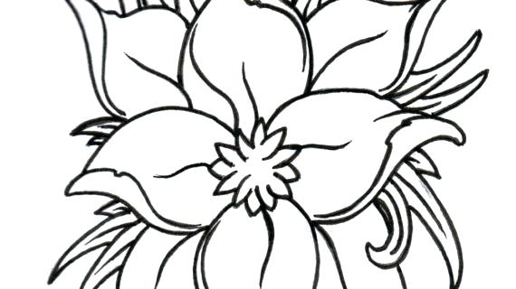 570x320 Flower Outline Drawing Lotus Flower Outline Drawing Best Ideas