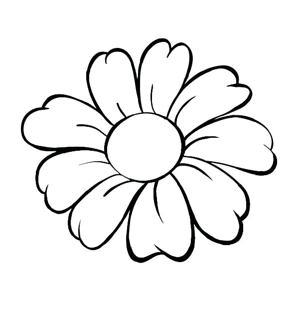 600x627 Outline Flower To Lotus Flower Outline Drawing