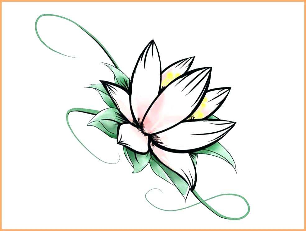 985x742 Drawing Of Lotus Flower Drawing Lotus Flower