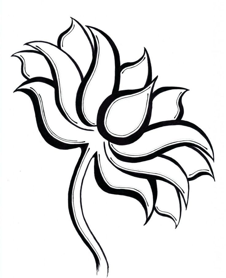 736x904 Lotus Flower Simple Sketch