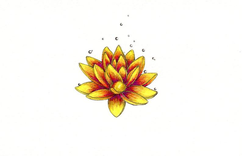 794x512 Lotus Flower Art Print Of An Original Drawing Available Etsy