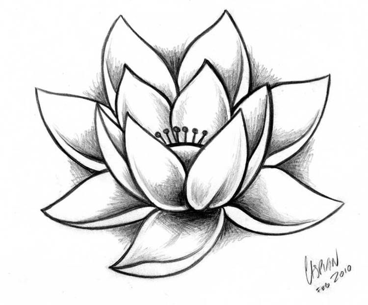 750x622 Tattoo Ideas Lotus Tattoo, Tattoo Drawings