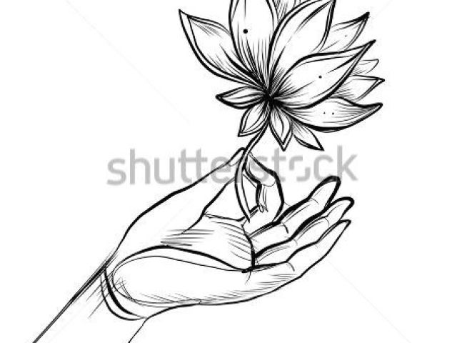 640x480 Drawing Holding A Rose Lord Buddha S Hand Holding Lotus Flower