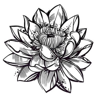 375x375 sketch style lotus flower tattoo design men's style lotus