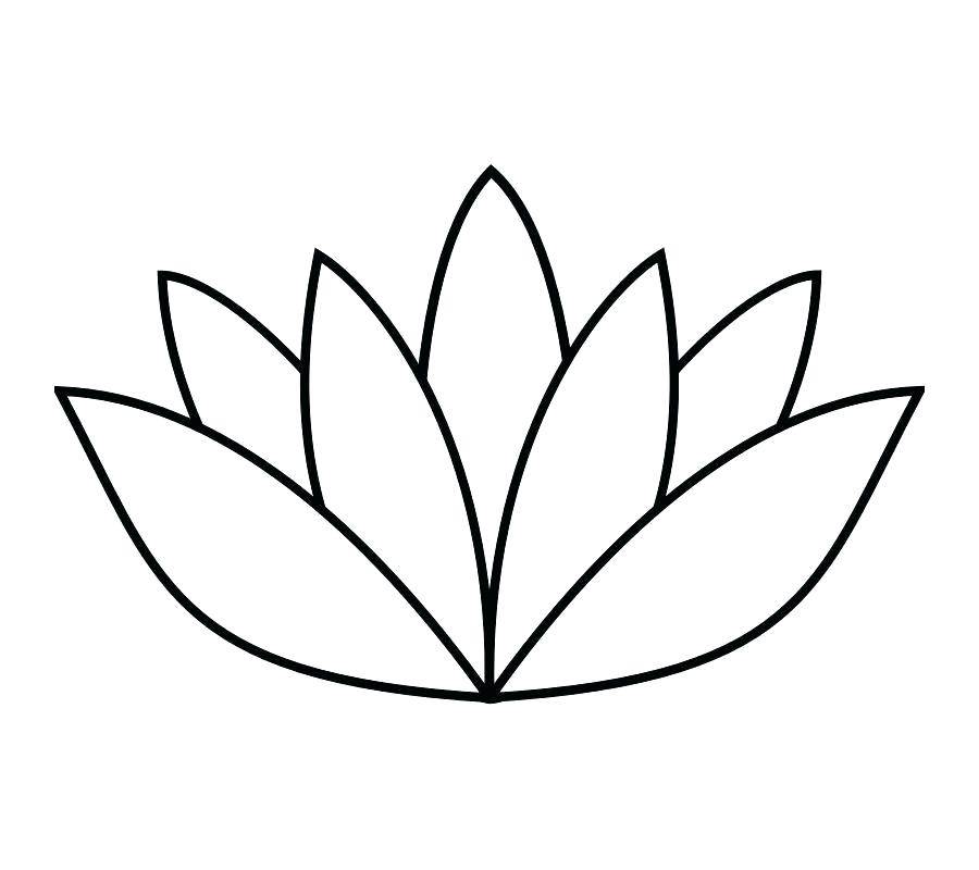 900x800 Drawing Of A Lotus