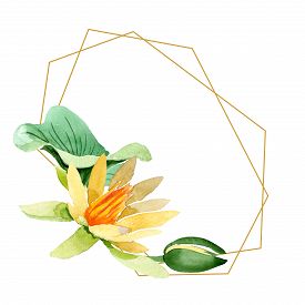 275x275 Lotus Flower Drawing Photos And Images