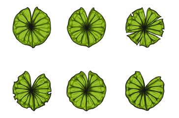 364x240 Search Photos