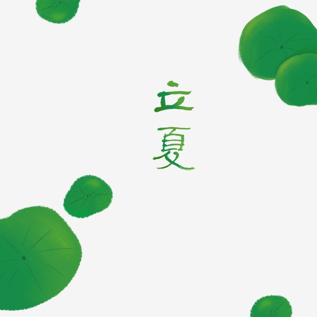 640x640 Beginning Of Summer Twenty Four Solar Terms Chinese Style Lotus