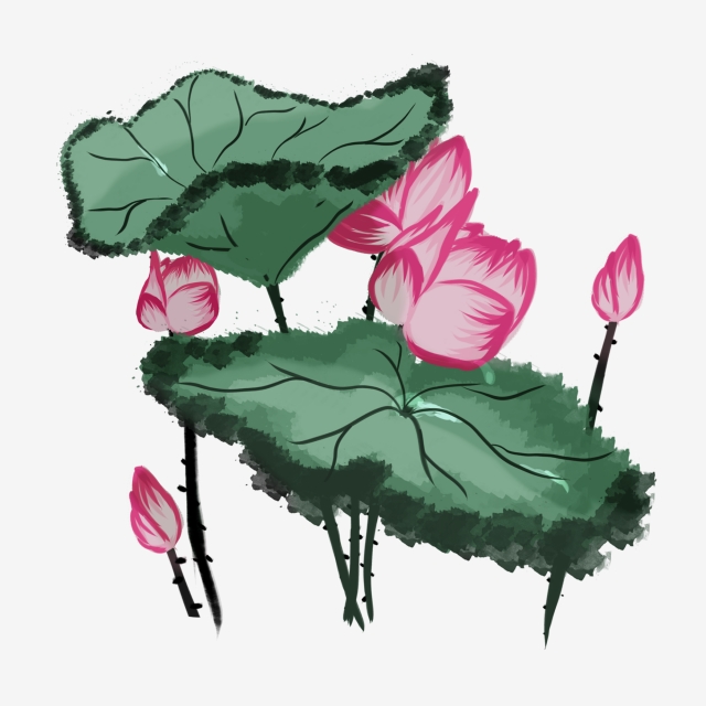 640x640 Color Gu Yu Qingming Cartoon, Hand Painted, Lotus, Lotus Leaf Png