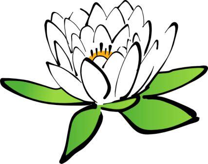 427x336 Line Drawing With Colour Lotus Royalty Free Clipart