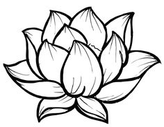 236x184 Photos Lotus Line Art