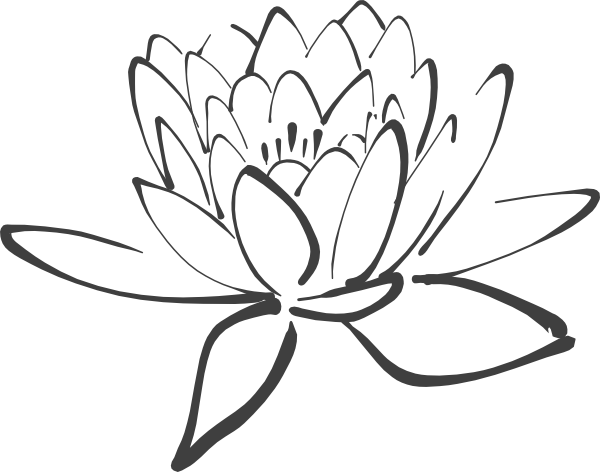 600x472 Drawing Details Lotus Flower Transparent Png Clipart Free