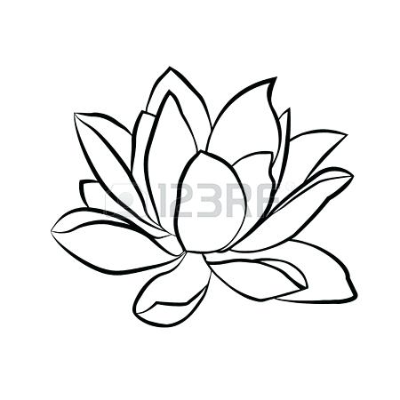 450x450 Outline Flower Stock Photos Royalty Free Outline Flower Images