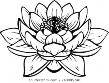 356x271 Lotus Outline Drawing Flower Nifty