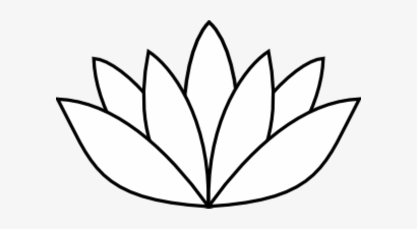 820x450 Best Photos Of Medium Lily Pad Outline