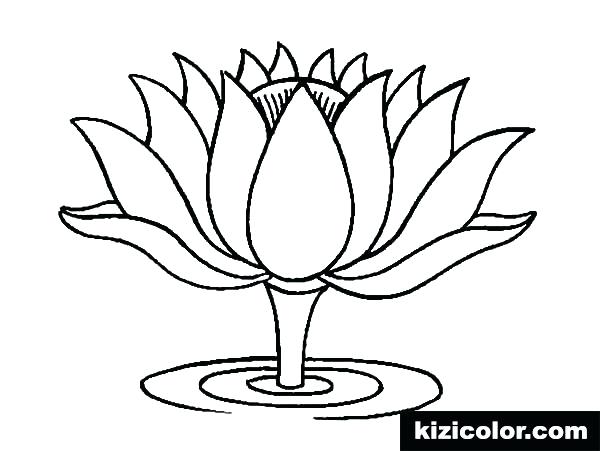 600x451 Lotus Flower Coloring