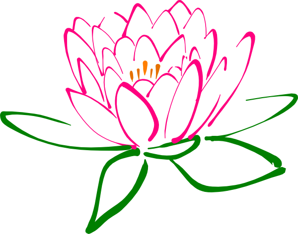 600x472 Pink Drawing Lotus Flower Transparent Png Clipart Free Download