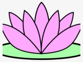 320x240 Lotus Png,  Transparent Lotus Png Image Free Download