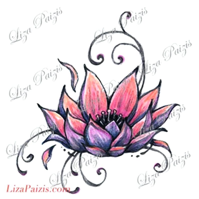 794x794 Lotus Drawing