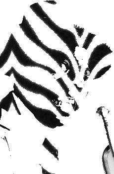 230x350 Louis Armstrong Biography Printable Version