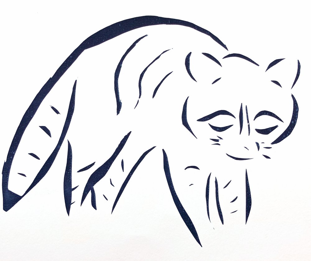 1000x838 Andi Love Animals