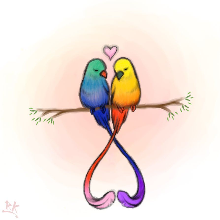 894x894 Love Birds! Inspirations In Cute Drawings Of Love