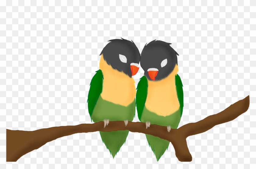 840x557 Yellow Collared Lovebird