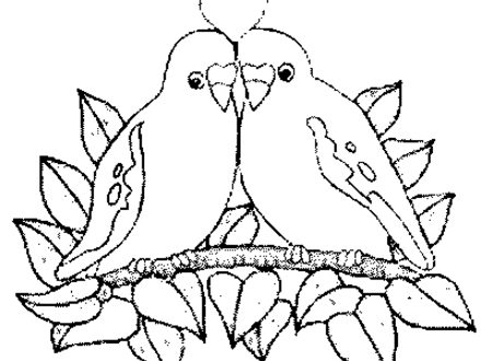 Love Birds Drawing Images