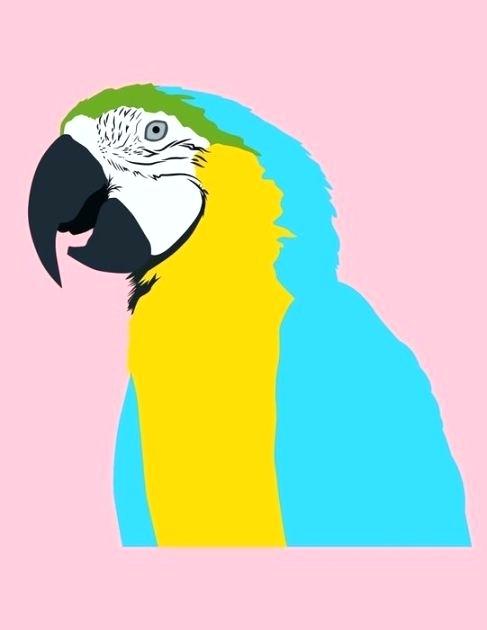 487x630 Drawing Of Parrot For Kids How To Draw Lovebirds Architects Near