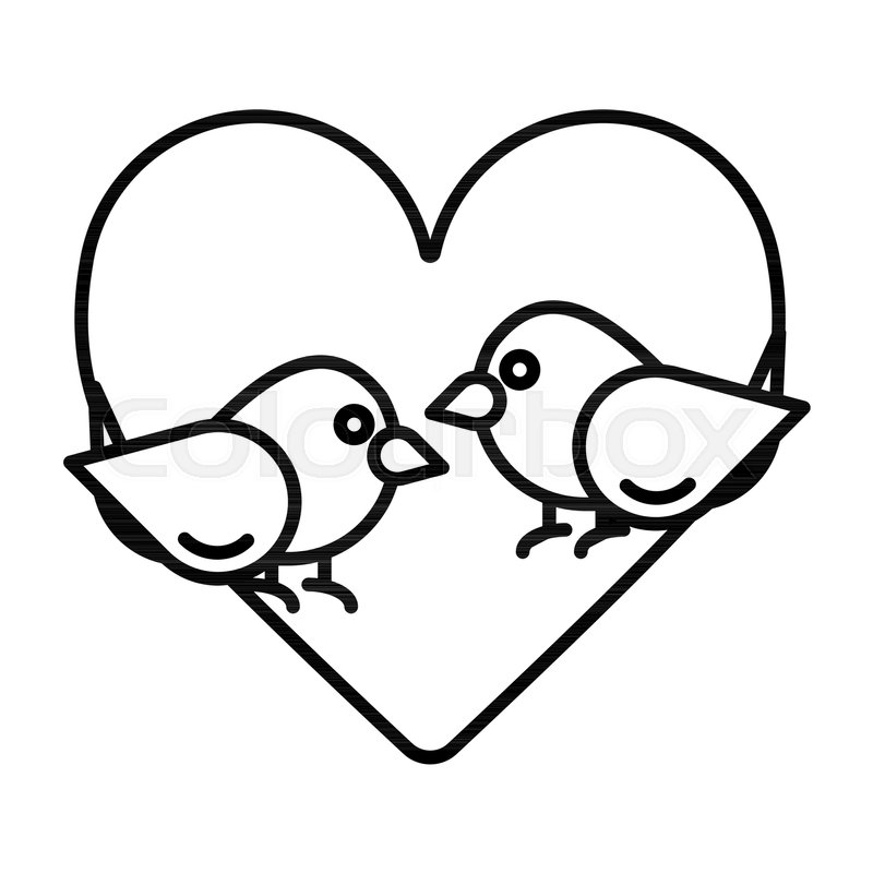 800x800 Love Birds With Heart Icon Vector, Stock Vector Colourbox