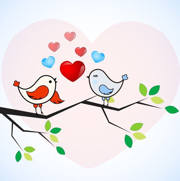 590x591 Romantic Love Birds Vector Vector Bee Illustration Love