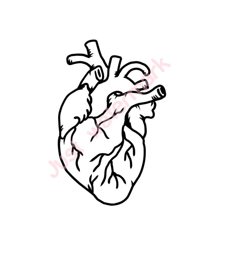 794x907 Huge Collection Of 'heart Line Drawing Clip Art' Download More
