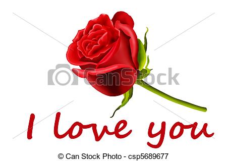 450x319 Single Red Rose, I Love You, Isolated On A White Background