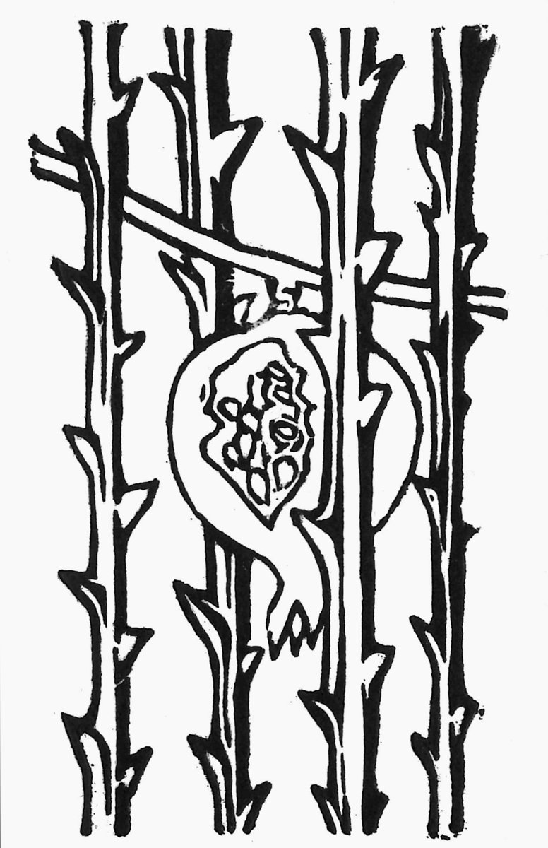 776x1200 Super Sad True Love Story My Home, Sinking