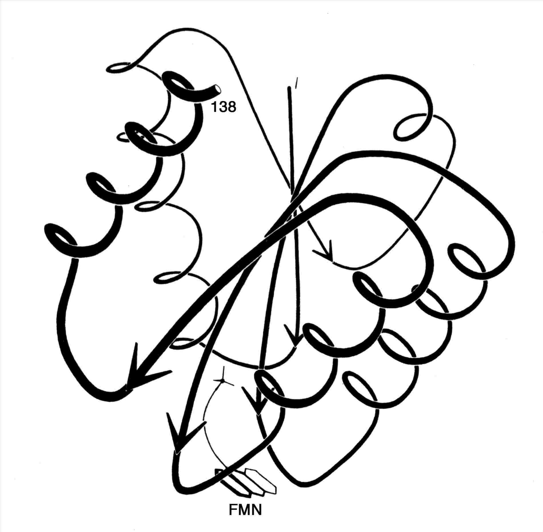 1900x1862 Worm Drawing Pictures