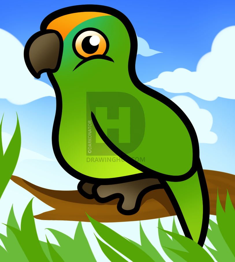 813x907 How To Draw A Lovebird For Kids, Step