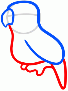 226x302 How To Draw How To Draw A Lovebird For Kids