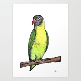 264x264 Love Bird Art Prints