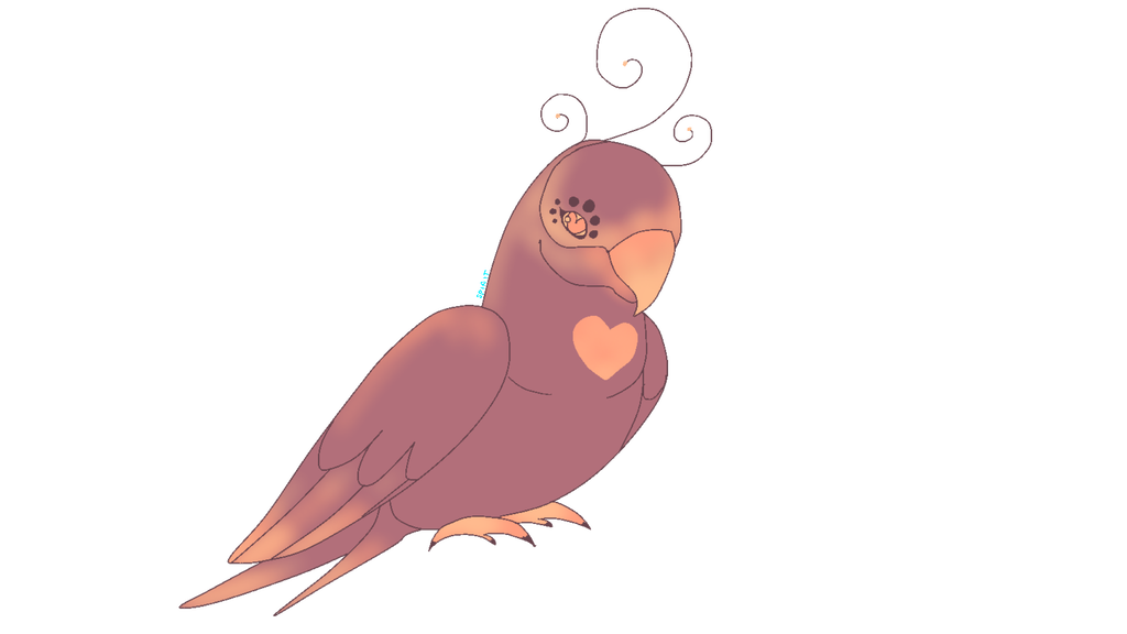 1024x576 Lovebird