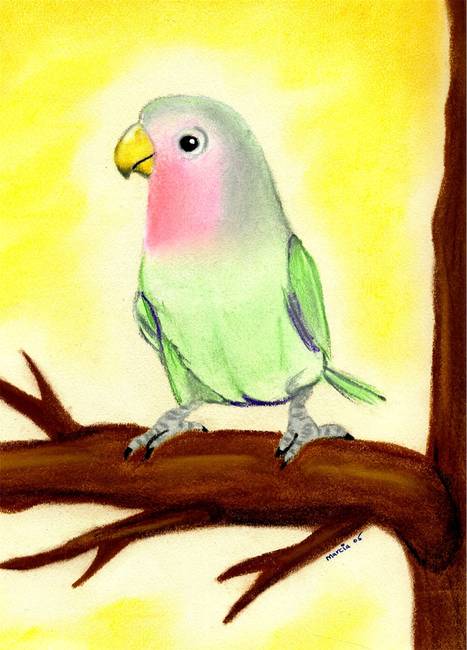 467x650 Lovebird Bird Portrait Art Print